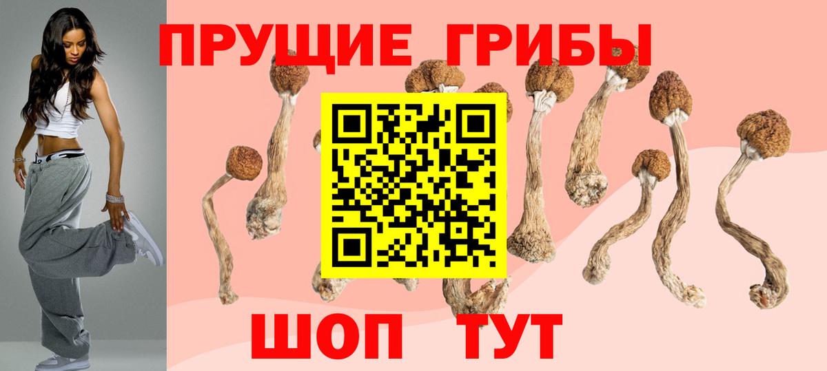 Псилоцибиновые грибы Cubensis  Галлюциногенные грибы Psilocybe  Клин  Вход с VPN 
