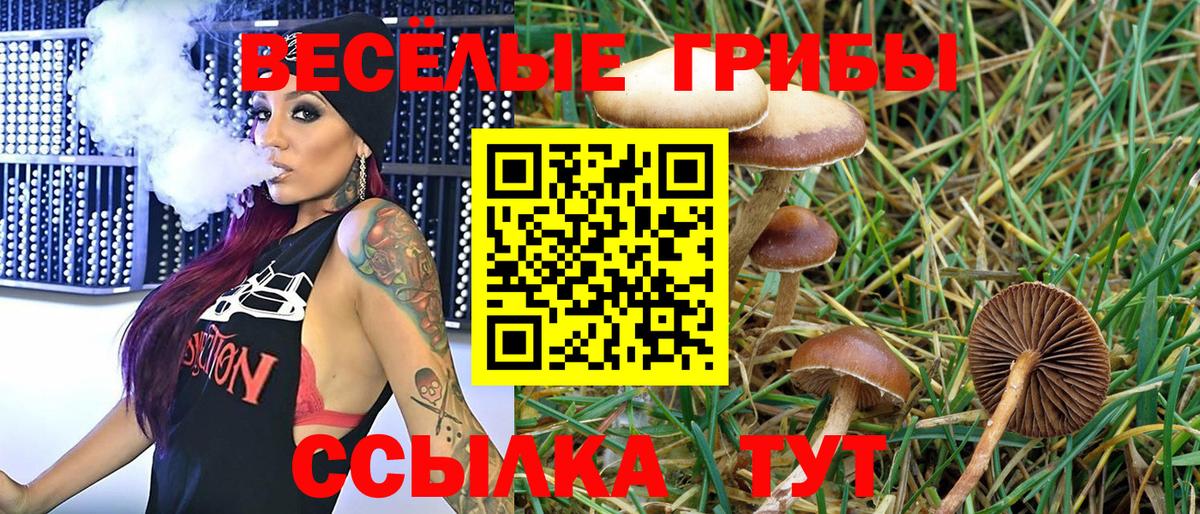 Галлюциногенные грибы Psilocybine cubensis Клин