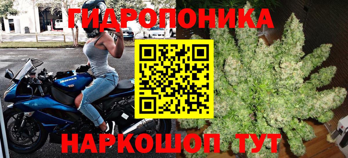 Каннабис конопля  Вход с VPN  Клин  Канабис ГИДРОПОН 